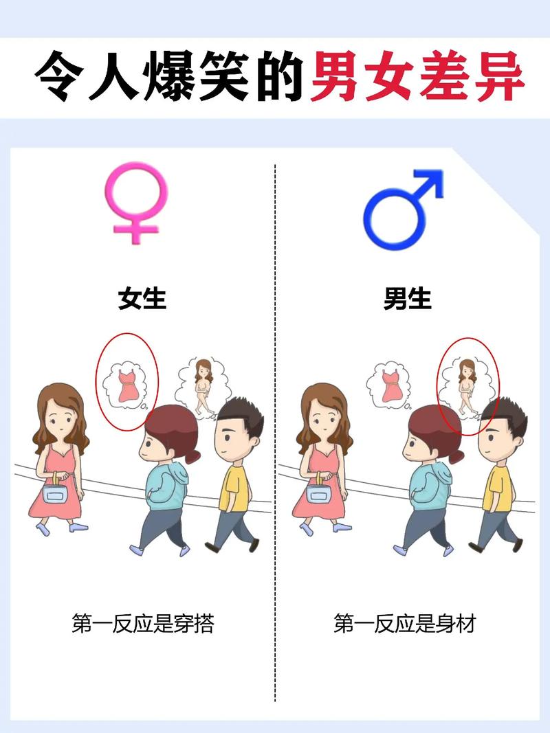 男生和女生差差差