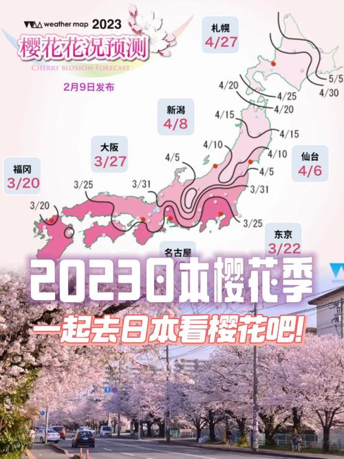 樱花官网官方入门网站2023