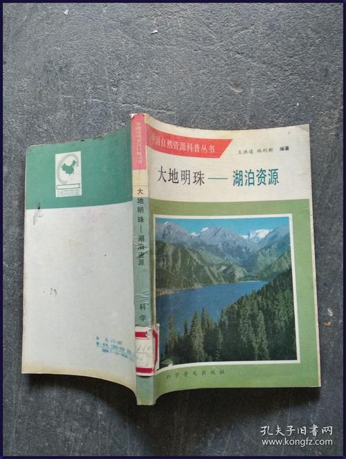 大地资源二中文免费第二页，网友：资源共享的新趋势