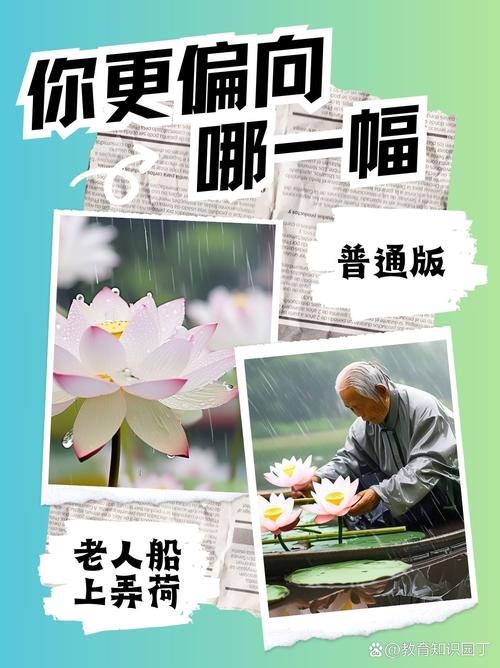 《老人船上弄雨荷》第13集介绍