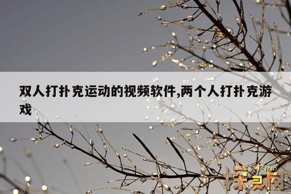 二人扑克剧烈运动视频教程软件